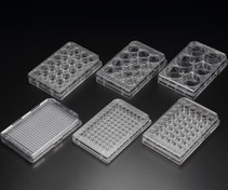 فروش insert plate
